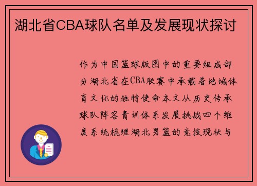 湖北省CBA球队名单及发展现状探讨